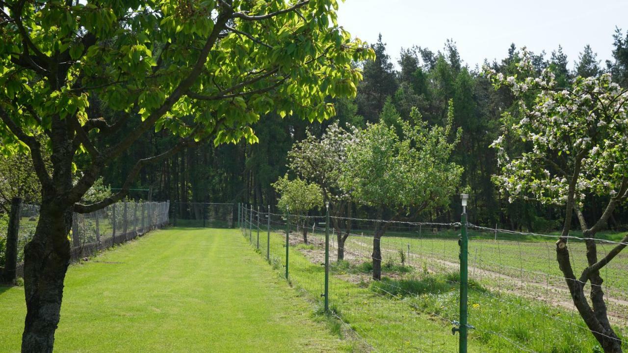 Idyllisches Ferienhaus In Ruhiger Lage Villa Wölsickendorf-Wollenberg Eksteriør billede